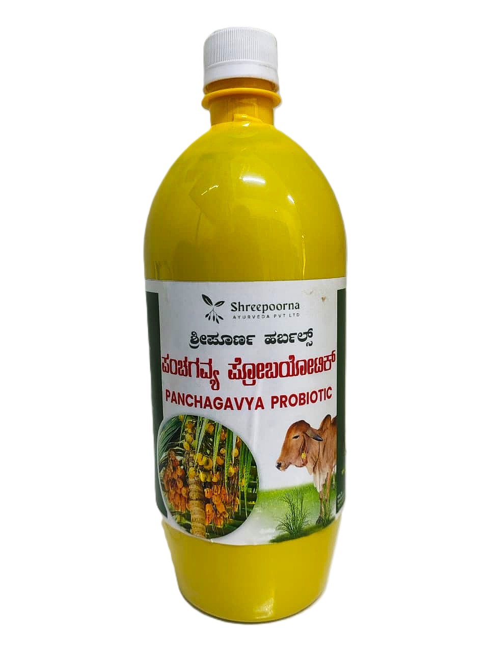Panchagavya Pro Biotech – Organic Farming Solution