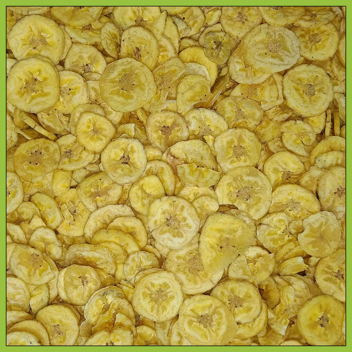 Cocoguru - Products - Image 10